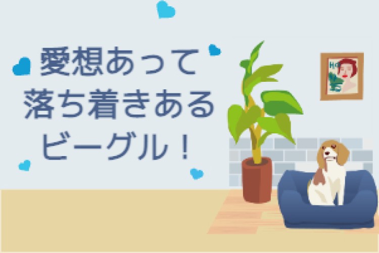 ビーグル大好き！